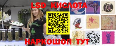 гашик Обнинск
